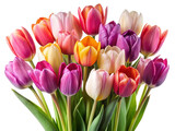 bouquet of tulips