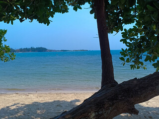 Wall Mural - Beautiful tropical beach landscape with white sand, tree, blue wave and sunny sky.