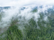 © ead72 - Low clouds drift across the vast national forest surrounding Mount Hood, Oregon. The entire Pacific Northwest is known for its moist, temperate climate and beautiful, mountainous landscapes.