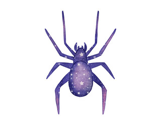 Cosmic Watercolor purple spider on white background with stars