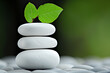 © OlgaSolo - Stacked Stones with a Leaf Zen Garden Stones Nature's Balance