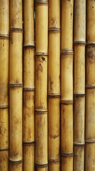 Bamboo stalks arranged together creating a natural wall texture