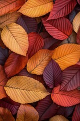 Poster - Colorful autumn leaves with shades of red and yellow in a serene park