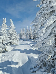 Wall Mural - Snowy winter in the ski resort of Sheregesh in Siberia, Russia.