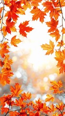Wall Mural - Autumn frame background with free place for text, maple leaves decorate a beautiful nature thanksgiving, scenery yellow red seasonal colorful mock up, white background