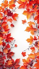 Wall Mural - Autumn frame background with free place for text, maple leaves decorate a beautiful nature thanksgiving, scenery yellow red seasonal colorful mock up, white background