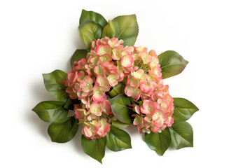 Wall Mural - A bouquet of pink and white flowers with green leaves