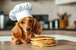 © Avr Anastasia - An image of a dog wearing a chef's hat sits next to a plate of pancakes