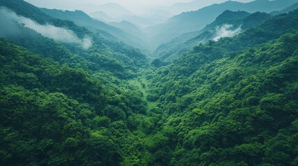 A bird's-eye view of a mountain valley covered in lush greenery, ideal for nature-themed designs with ample copy space.