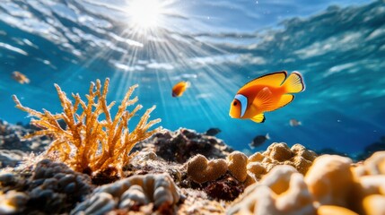 Wall Mural - A vibrant clownfish is seen swimming near a cluster of corals in the ocean, surrounded by rays of sunlight filtering through the water, creating a picturesque underwater scene.