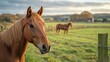 © Generative AI - horses grazing on a pasture in the padlock uk farm houses in the background : Generative AI