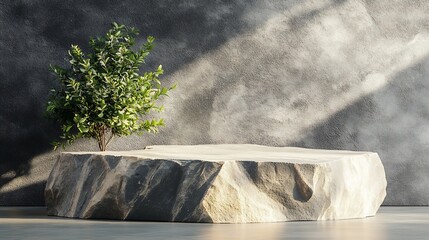 Aufkleber - Luxury Natural Rough Rock stone Podium with plant shadow on Gray wall for product placement display  template for Skin care or cosmetics scene platform : Generative AI