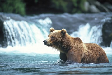 A brown bear wading in a blue river with its head turned to the side.