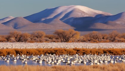 Canvas Print -  Peaceful wildlife scene with flock of birds in a mountainous desert landscape