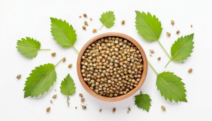 Wall Mural -  Natural abundance  A bowl of seeds surrounded by fresh leaves