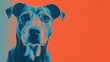 © Postproduction - Blue and orange modern adopt dog event flyer featuring a lovable dog's face with bold text.