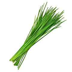 Wall Mural - Fresh bunch of chives on a black background, perfect for culinary and gardening themes