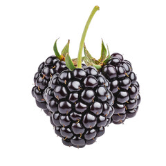 Wall Mural - Fresh blackberries grouped together with vibrant green stems, perfect for healthy eating and culinary use