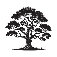 Sandalwood tree Black silhouette on a white background. Vector. Set.
