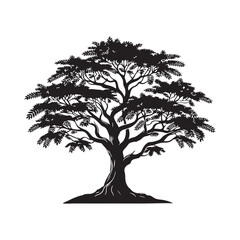Sandalwood tree Black silhouette on a white background. Vector. Set.