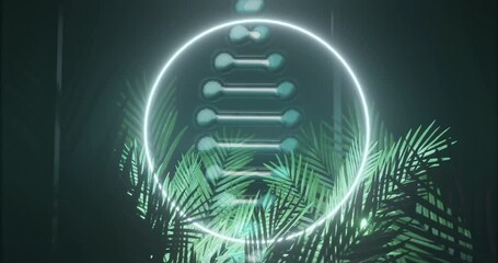 Wall Mural - animating dna strand over tropical plants with glowing circle in background