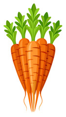  illustration of a carrots isolated on white background