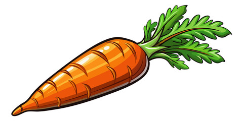 carrot with leaves, illustration of a carrot isolated on white background