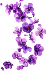 Violet flowers flying isolated on a transparent background