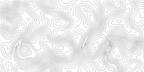Wall Mural - Abstract pattern with lines seamless pattern and topography.  sea map and mounted map area space geometrics line technology topo landscape grid map discovery area. Modern design white background.