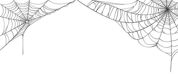 Wall Mural - spider web line art vector