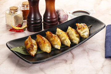 Canvas Print - Fried Japanese stuffed dumplings - Gyoza