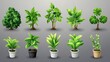 © Johannes - Growth Plant (Investment Growth) clipart collection, vector, icons isolated on transparent background