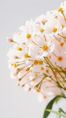 Wall Mural - Delicate white flowers with yellow centers