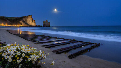 Wall Mural - beach at dusk