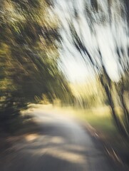 Poster - Blurred Path Through Trees in Nature