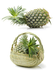 Wall Mural - Pineapple on a white background