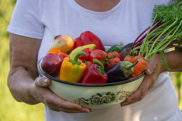 Wall Mural - elderly woman in the garden with fresh vegetables in a bowl. Selective focus