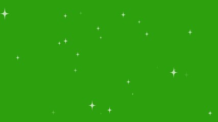 Canvas Print - white star blinking, twinkling Star or blinking light effect on green screen background, sparkling stars animation, Twinkle light glitter stars sparkling, Star twinkling for festive  holiday event.