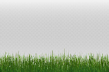 Wall Mural - Grass border, vector illustration. Vector grass, lawn. Grass png, lawn png. Green grass with sun glare.	
