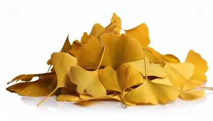 Sticker - pile of yellow ginkgo biloba leaves