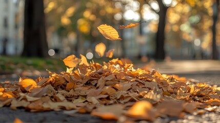 Wall Mural - Golden Autumn Leaves on Sunlit City Pathway