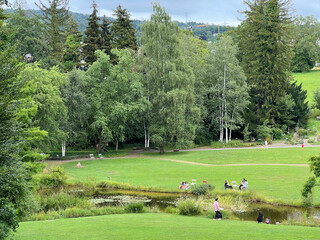 Wall Mural - The Botanical Garden of the University of Zurich or Botanischer Garten der Universität Zürich (Botanischer Garten der Universitat Zurich - Botanischer Garten der Universitaet Zuerich)