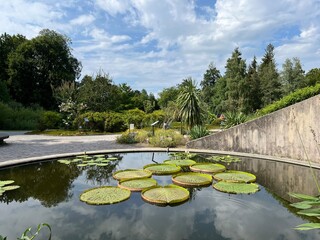 Wall Mural - The Botanical Garden of the University of Zurich or Botanischer Garten der Universität Zürich (Botanischer Garten der Universitat Zurich - Botanischer Garten der Universitaet Zuerich)