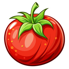 Wall Mural - tomato vector, illustration of tomato isolated on white background