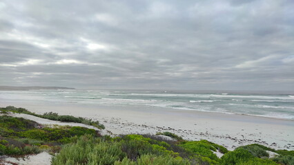 Sticker - Coastal landscape of the Kangaroo Island