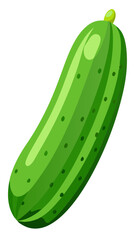 Wall Mural - cucumber vector, illustration of cucumber isolated on white background