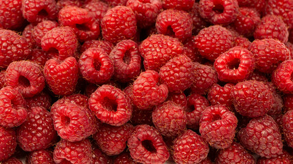 Wall Mural - Tasty fresh raspberry isolated on a white background. Top view.