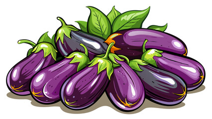 Wall Mural - eggplant vector, illustration of eggplant isolated on white background