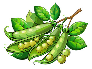 Wall Mural - green peas, pea vector, illustration of pea isolated on white background