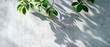 © Inlovehem - Green leaves casting shadows on a light grey concrete wall, creating a natural and serene atmosphere.